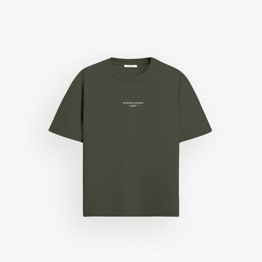 Iconic Oversized Shirt Pale Verde · 23X057-3